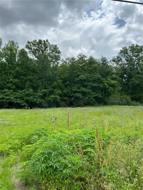 1010-12 Martin Luther King Drive, Hammond, LA 70401 - #1