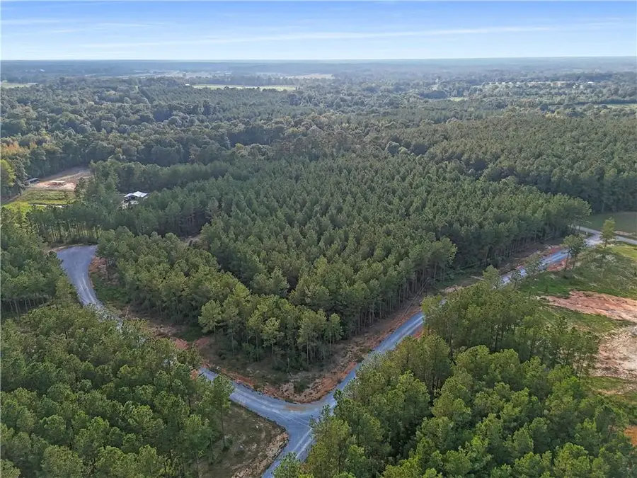 Lot 19 Caro Lane, Franklinton, LA 70438 - #3