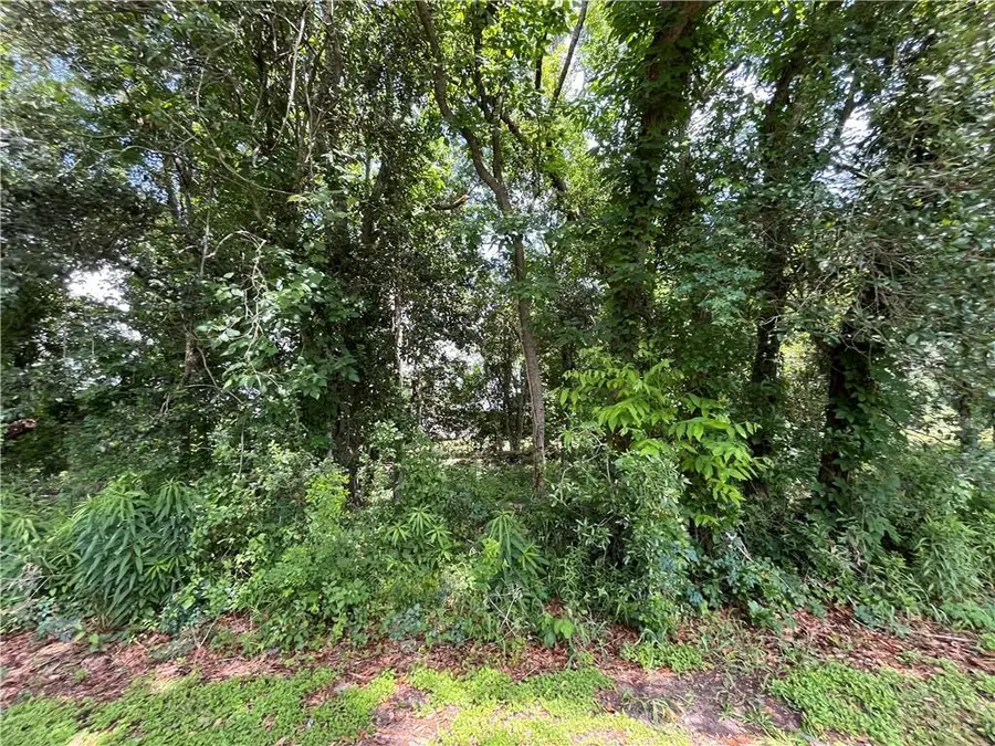 119 Concession Street, Belle Chasse, LA 70037 - Image #2