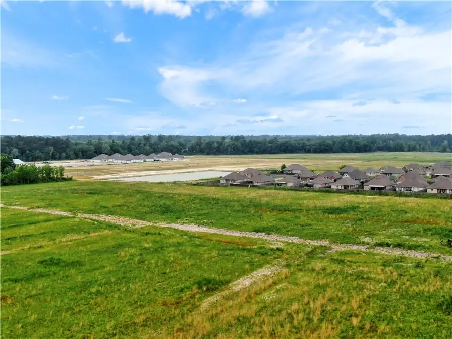 45043 River Road, Hammond, LA 70401 - #2