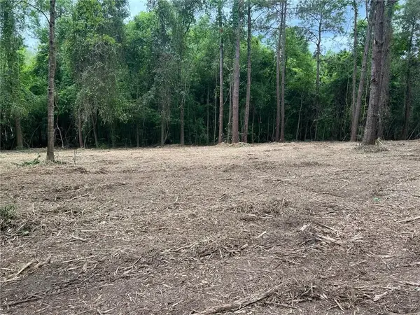 0 Dad Penton Road, Bush, LA 70431