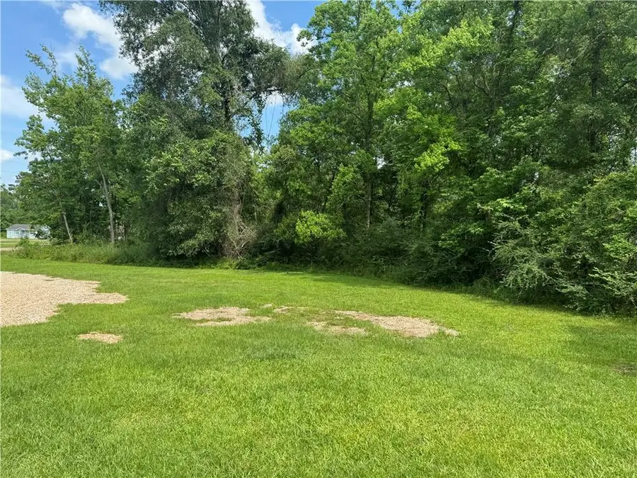 Commercial Street, Roseland, LA 70456 - Image #3