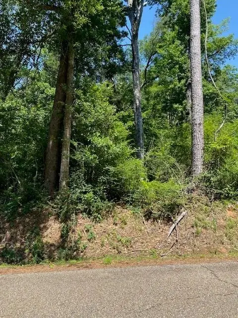 N River Road, Kentwood, LA 70444 - Image #2