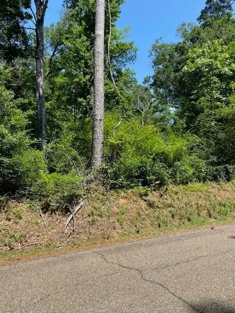 N River Road, Kentwood, LA 70444 - Image #3