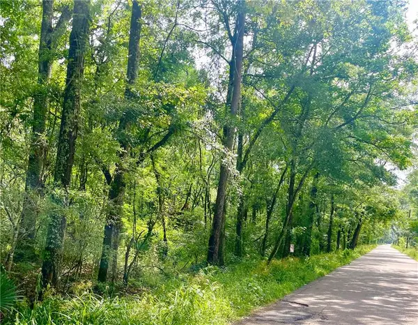 TBD 4 Lavigne Road, Ponchatoula, LA 70454