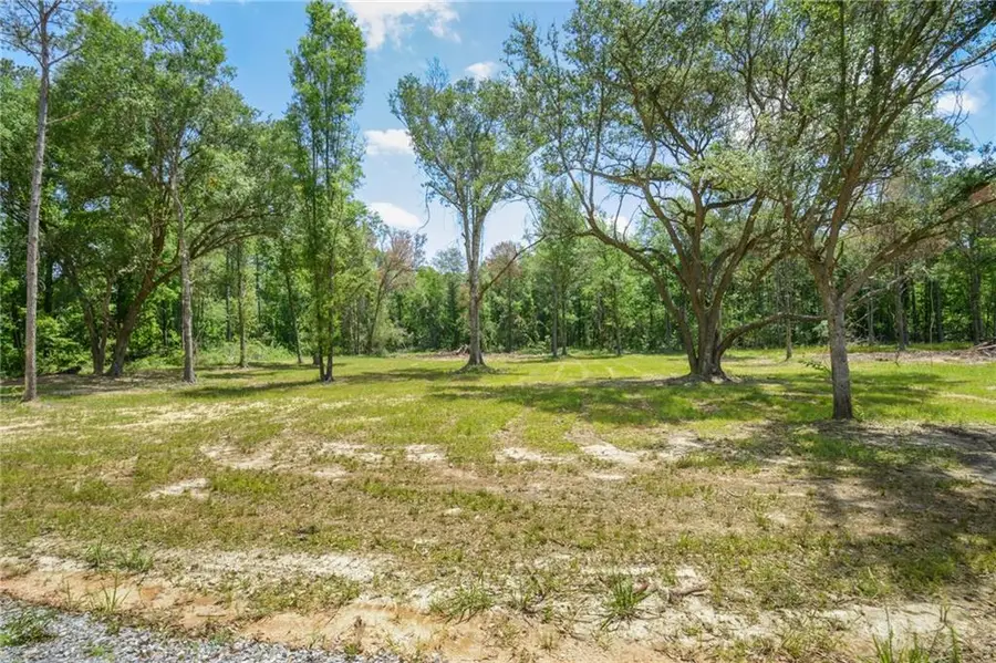 50320 (Lot 2) Allen Drive, Loranger, LA 70446 - #2