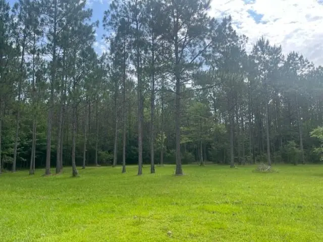 13050 Boyd Road, Covington, LA 70435 - #1