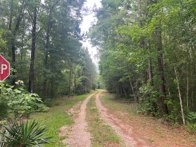 13050 Boyd Road, Covington, LA 70435 - #3