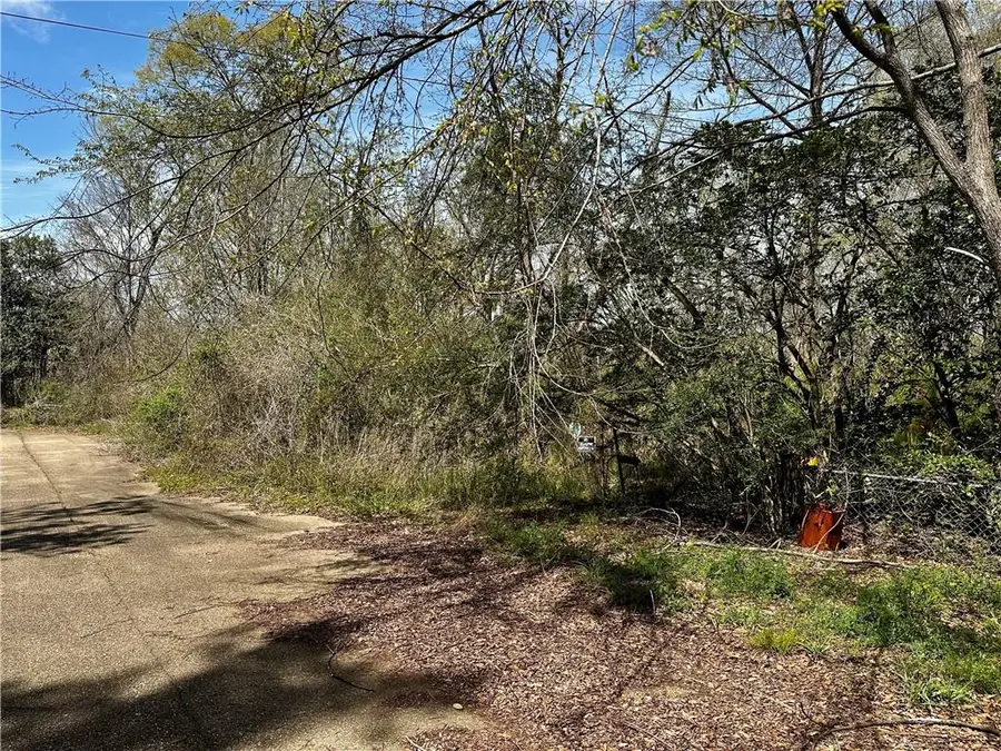 13801 Old Greenwell Springs Road, Greenwell Springs, LA 70739 - Image #3