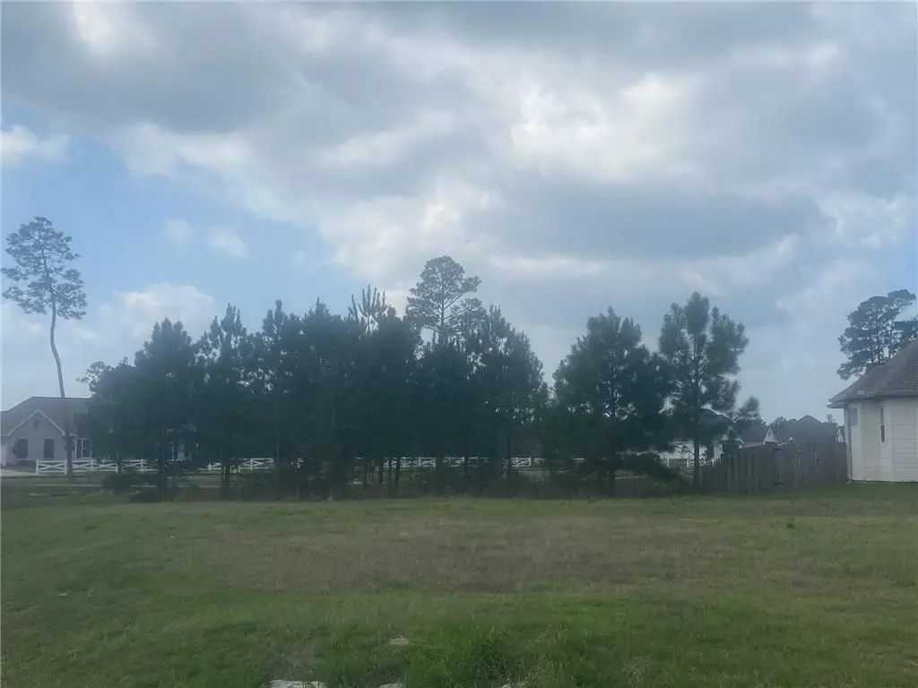 Grey Heron Lane, Madisonville, LA 70447 - #1