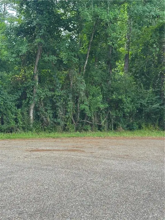 0000 Shady Lane, Tickfaw, LA 70466 - #1