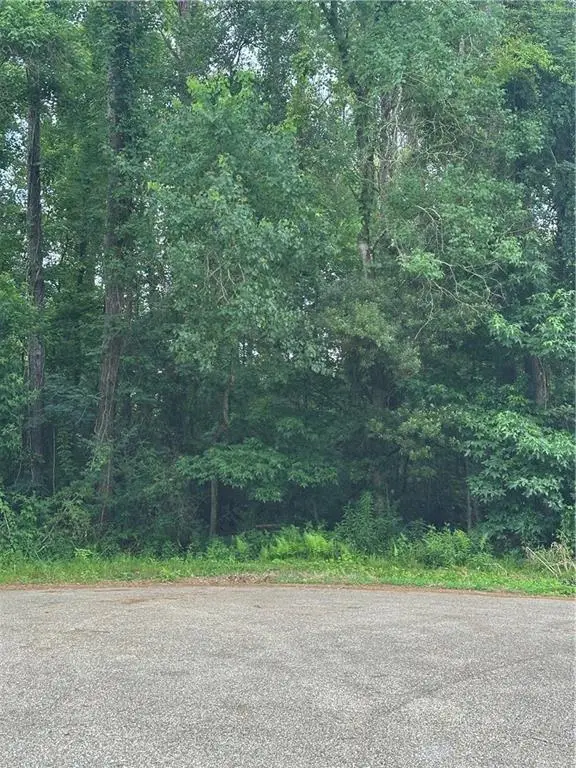 0000 Shady Lane, Tickfaw, LA 70466 - #2