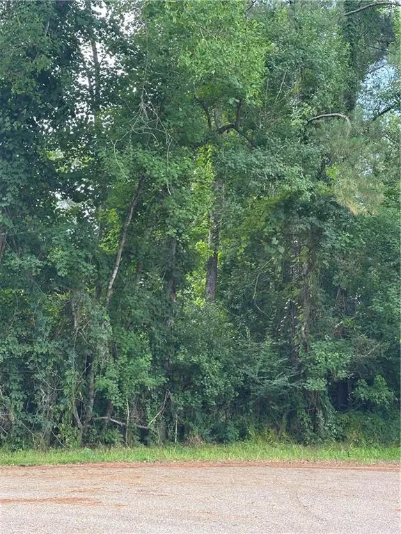 0000 Shady Lane, Tickfaw, LA 70466 - #3