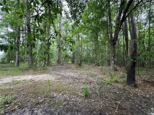TBD Woodland Drive, Oakdale, LA 71463