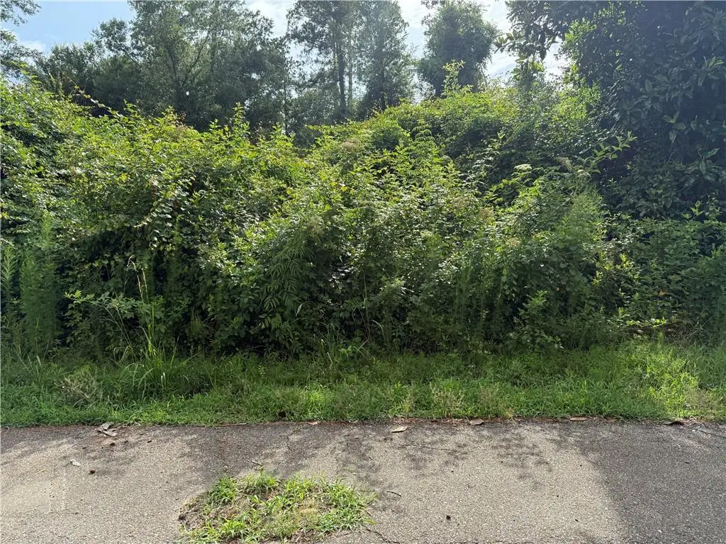 Lot 5-C Robinson Road, Hammond, LA 70403 - Image #1