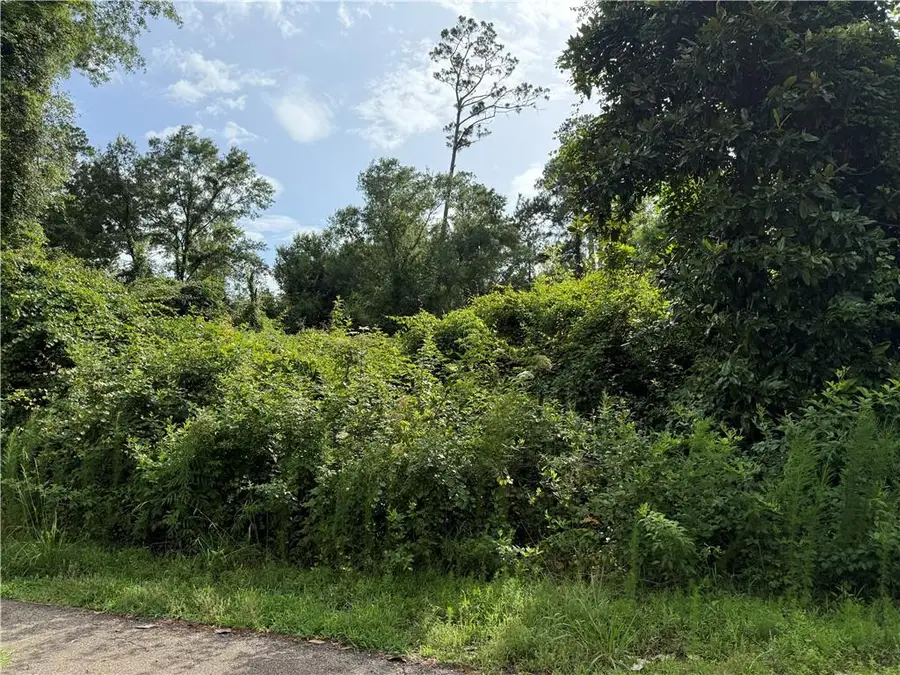 Lot 5-C Robinson Road, Hammond, LA 70403 - Image #3