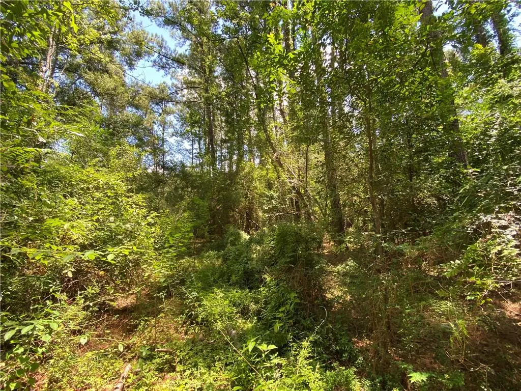 TBD Flamenco Road, Amite, LA 70422 - #1