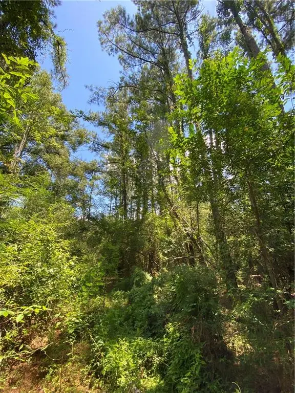 TBD Flamenco Road, Amite, LA 70422 - #2