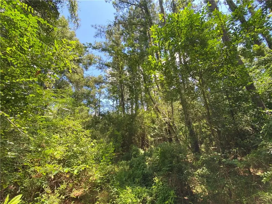 TBD Flamenco Road, Amite, LA 70422 - #3