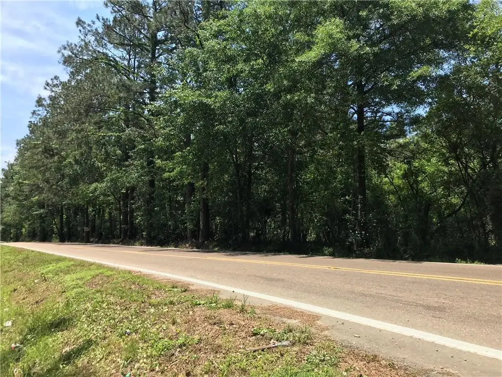 54219 Hano Road, Independence, LA 70443 - #1
