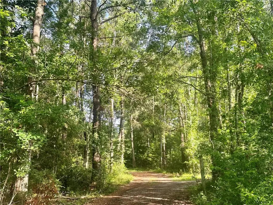 Harry Lemons Road, Mandeville, LA 70448 - Image #2