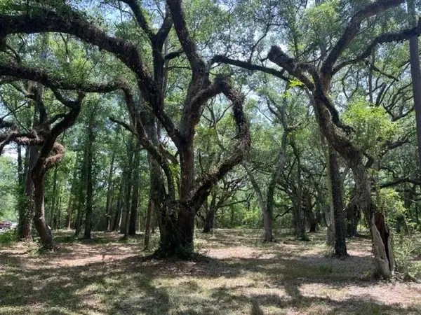 00000 Louisville Street, Lacombe, LA 70445