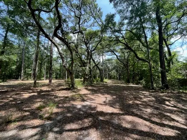 00000 Louisville Street, Lacombe, LA 70445 - Image #2