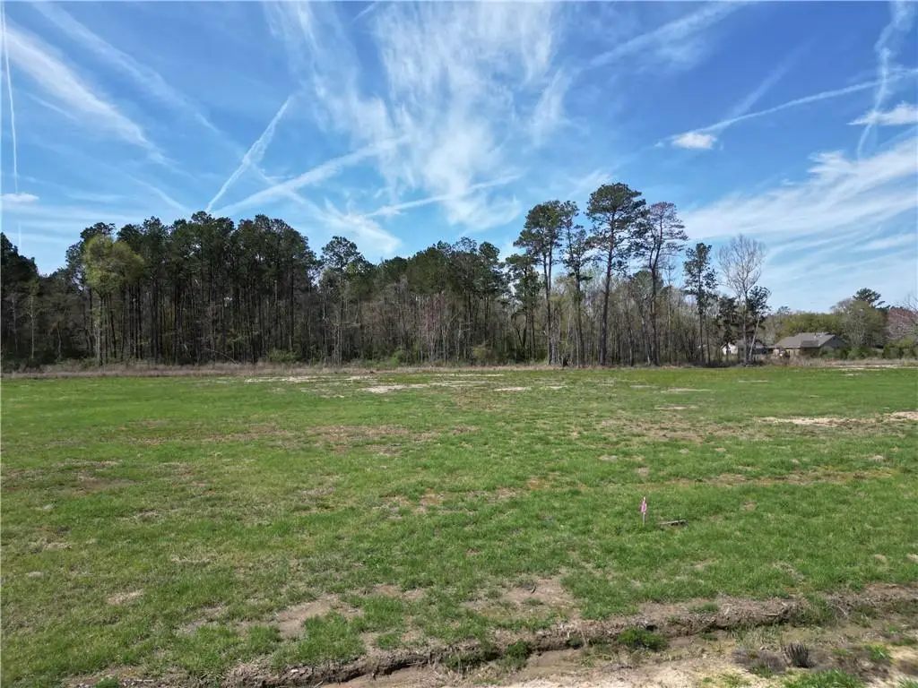 24755 Lot A-5 442 Highway, Independence, LA 70443 - Image #1