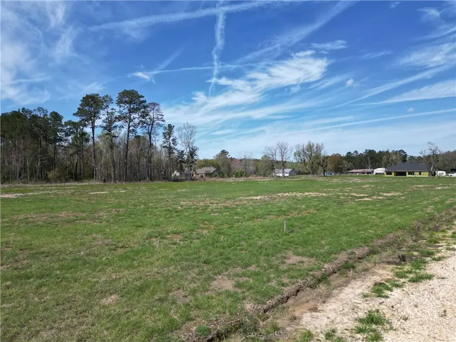24755 Lot A-5 442 Highway, Independence, LA 70443 - Image #2