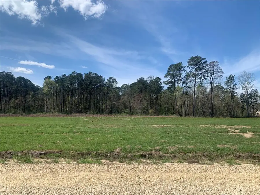 24755 Lot A-5 442 Highway, Independence, LA 70443 - Image #3