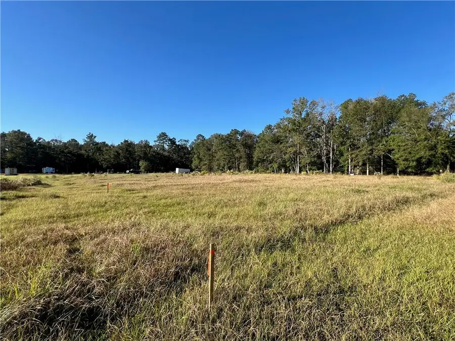 19085 Willie Lane, Livingston, LA 70754 - #3