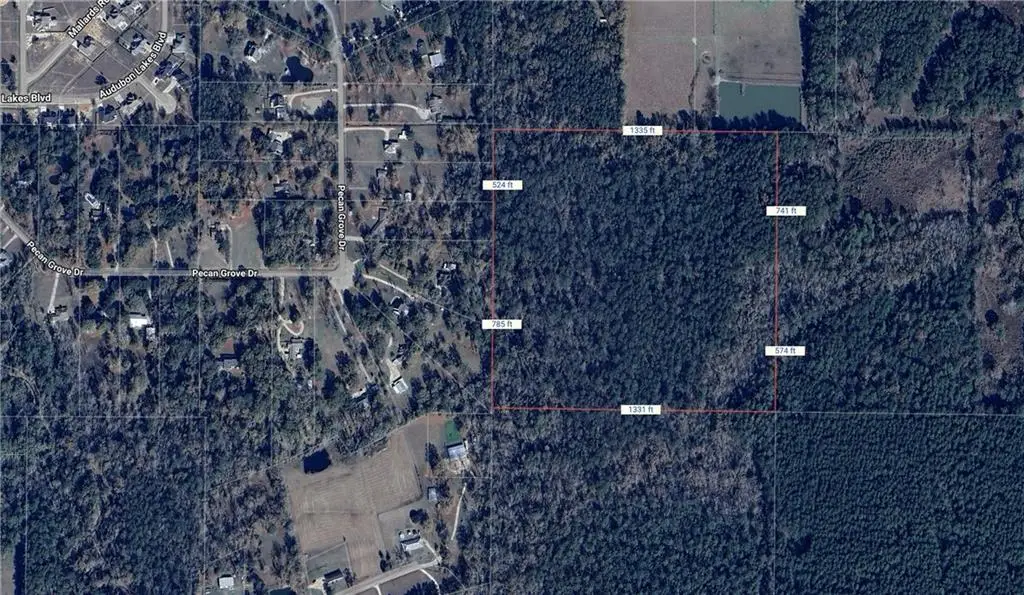 Hwy 445 & Wittie, Robert, LA 70455 - #1