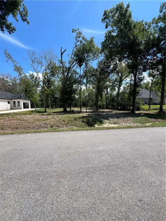 16 Arbor Lane, New Orleans, LA 70139 - #2