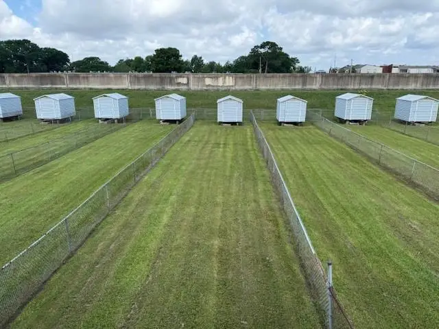 6266-6268 Bellaire Drive, New Orleans, LA 70124 - #2