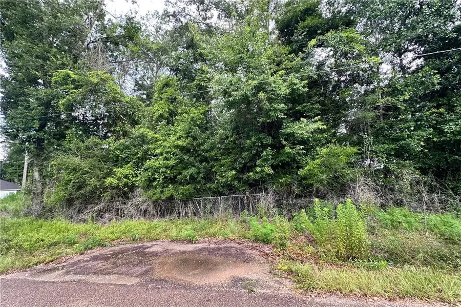 Lot 13, 14, 15 Highway 434 Highway, Lacombe, LA 70445 - Image #3