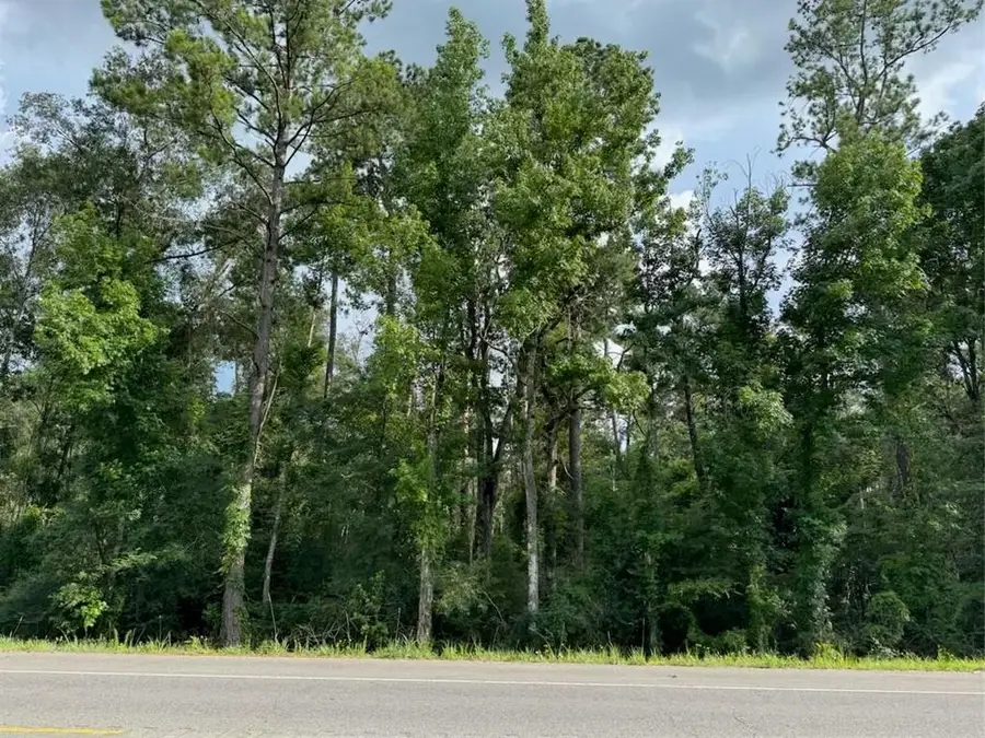 BP-7 Florida Boulevard, Holden, LA 70744 - #2