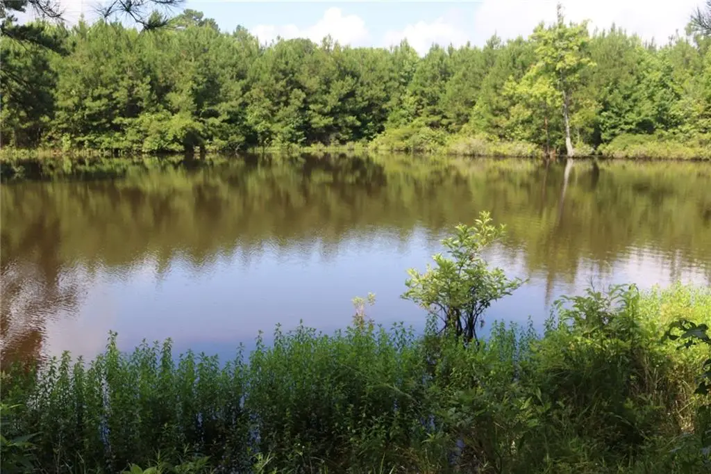 1800-1900 Parish 277 Road, Shongaloo, LA 71072 - Image #1