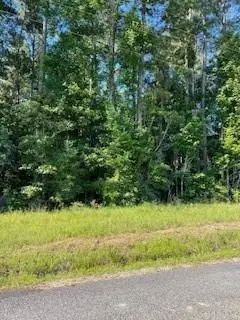 0 Sunset Road, Glenmora, LA 71433 - #3