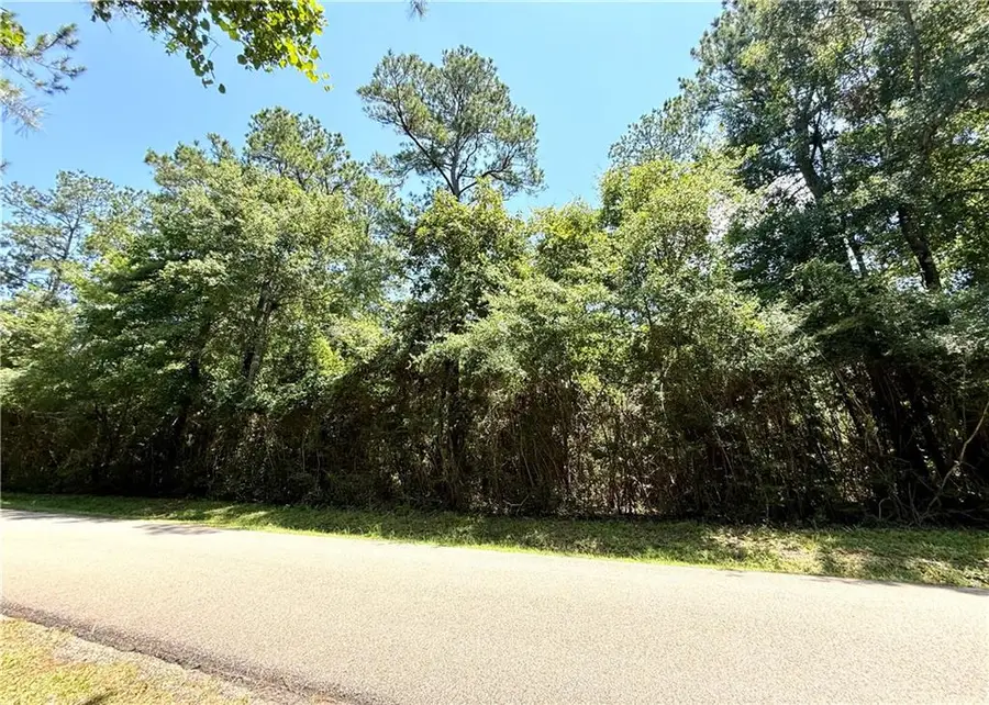 Lot 102 Lake Choctaw Drive, Franklinton, LA 70438 - #2