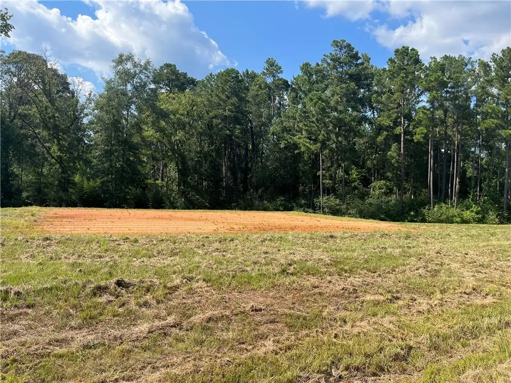 Lot 22 Archie Drive, Dry Prong, LA 71423 - #1