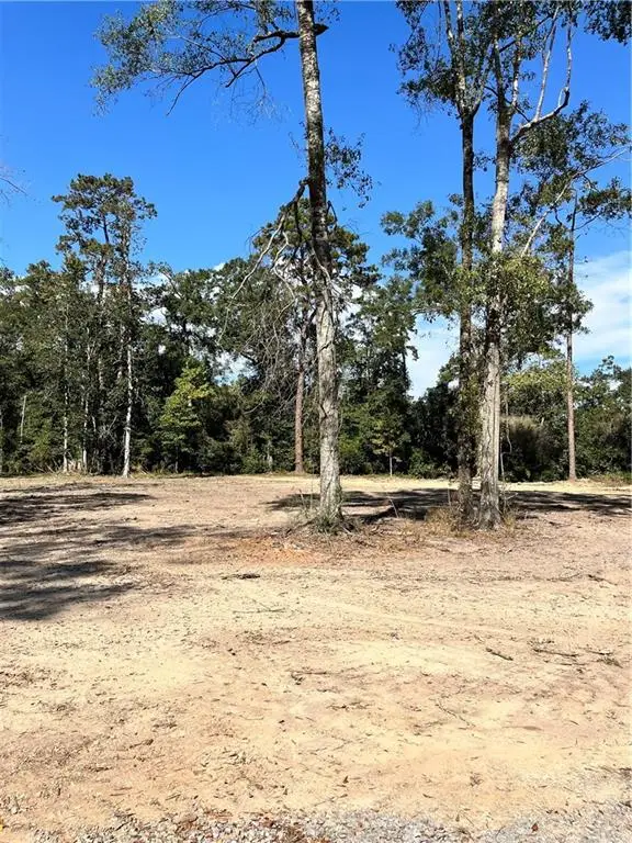 73488 River Road, Covington, LA 70435 - #2