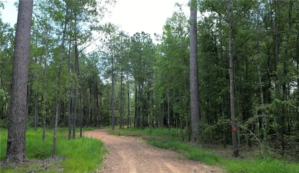 35072 La-43 Highway, Independence, LA 70443 - Image #1