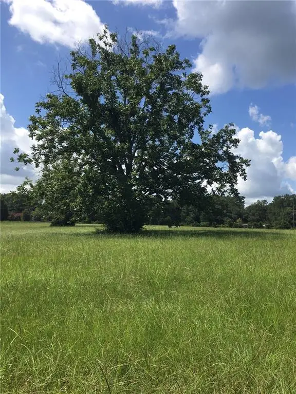 tbd Buck Anthony Road, Folsom, LA 70437 - #1