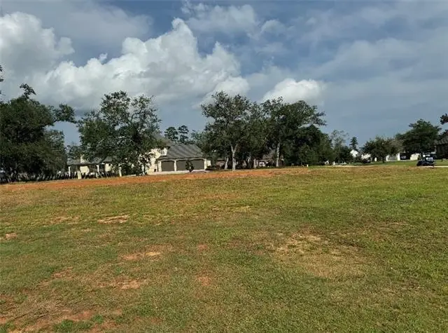 24100 Snowy Egret Cove, Springfield, LA 70462 - #2