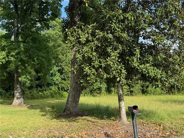 32882 Lower Rome Road, Springfield, LA 70462