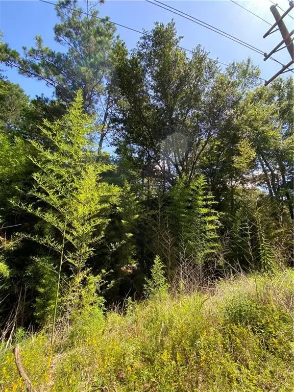 0 Cactus Road, Pineville, LA 71360