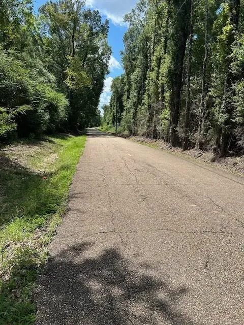 14181 E E. Russell Town Road, Roseland, LA 70456 - Image #1