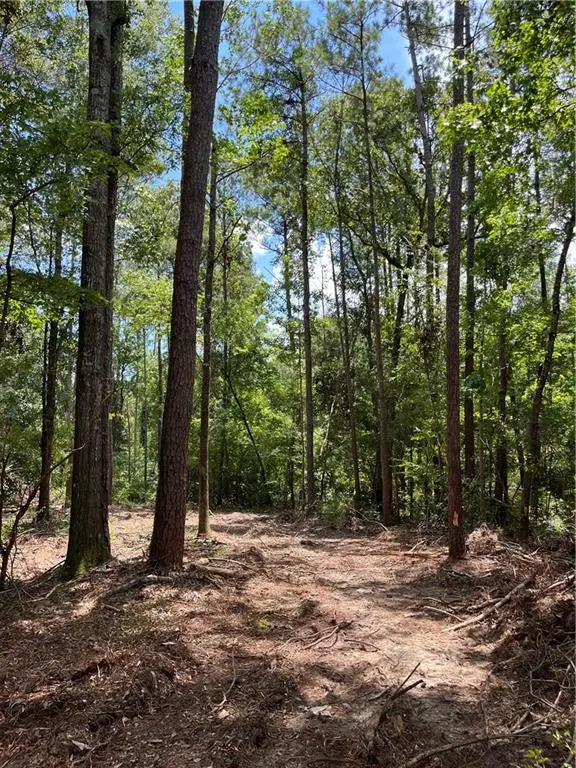 Address Withheld By Seller, Kentwood, LA 70444 - #2