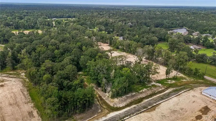 Lee's Landing Lot B Road, Ponchatoula, LA 70454 - #3