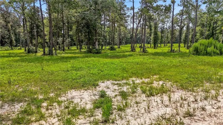 39560 Lee's Landing Road, Ponchatoula, LA 70454 - #3